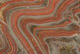 Polished Tiger Iron Stromatolite Slab - Billion Years #221837-1